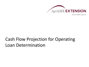 Cash Flow Projection for Operating Loan Determination