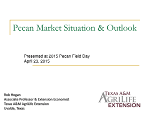 Pecan Market Situation &amp; Outlook Presented at 2015 Pecan Field Day