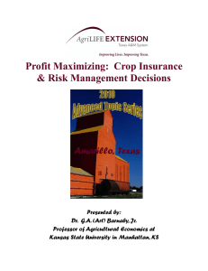 Profit Maximizing:  Crop Insurance &amp; Risk Management Decisions Amarillo,  Texas