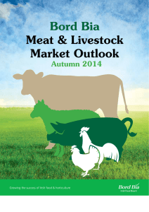 Bord Bia Meat &amp; Livestock Market Outlook