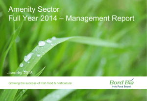 Amenity Sector – Management Report Full Year 2014