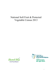 National Soft Fruit &amp; Protected Vegetable Census 2013 1