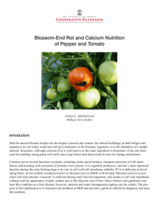 Blossom-End Rot and Calcium Nutrition of Pepper and Tomato Introduction