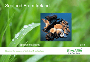 Seafood From Ireland.  Species catalogue 2014