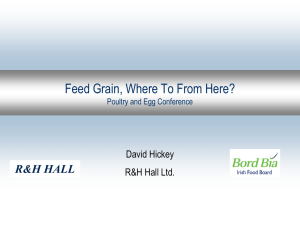 Feed Grain, Where To From Here? R&amp;H HALL David Hickey R&amp;H Hall Ltd.