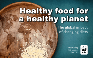 Healthy food for a healthy planet The global impact of changing diets