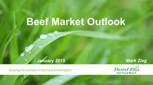 Beef Market Outlook  Mark Zieg January 2015