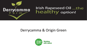 Derrycamma &amp; Origin Green