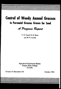 Control of Weedy Annual Grasses in Perennial Grasses Grown for Seed