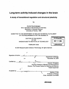 Long-term activity-induced changes in the brain Arvind  Govindarajan