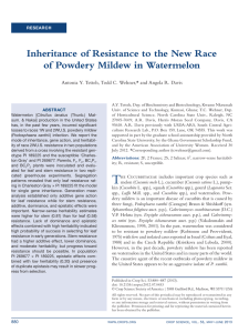 Inheritance of Resistance to the New Race