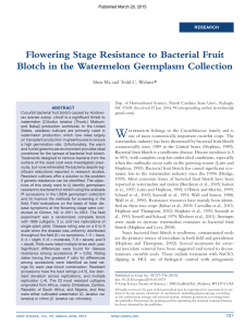 W Flowering Stage Resistance to Bacterial Fruit *