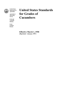 United States Standards for Grades of Cucumbers