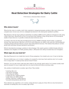 Heat Detection Strategies for Dairy Cattle Why detect heats?