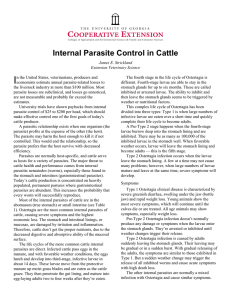 I Internal Parasite Control in Cattle