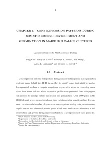CHAPTER 1. GENE EXPRESSION PATTERNS DURING SOMATIC EMBRYO DEVELOPMENT AND