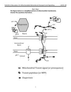 Fall 2015: Discussion 10: Mitochondrial Genomes &amp; Transport and Signaling ...  Part 1 Key: