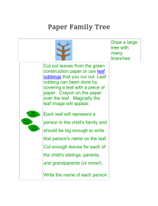 Paper Family Tree
