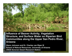 Influence of Beaver Activity, Vegetation