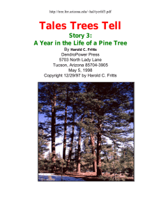 Tales Trees Tell Story 3: