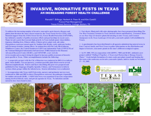 INVASIVE, NONNATIVE PESTS IN TEXAS AN INCREASING FOREST HEALTH CHALLENGE