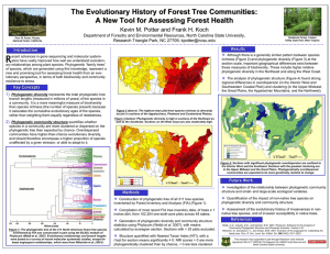 The Evolutionary History of Forest Tree Communities: