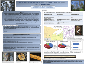 EVALUATING WHITE SPRUCE DECLINE AND MORTALITY IN THE UPPER
