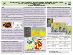 Comparison of Forest Disturbance Detection Results Obtained at Different Scales