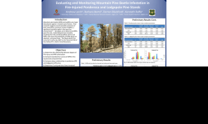 Evaluating and Monitoring Mountain Pine Beetle Infestation in