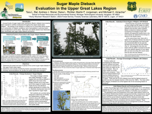 Sugar Maple Dieback Evaluation in the Upper Great Lakes Region