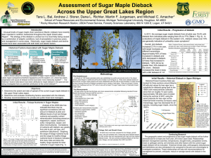 Assessment of Sugar Maple Dieback Across the Upper Great Lakes Region