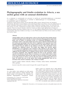 Phylogeography and bindin evolution in Arbacia, a sea