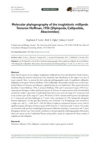 Molecular phylogeography of the troglobiotic millipede Abacionidae) Tetracion Myriapodology