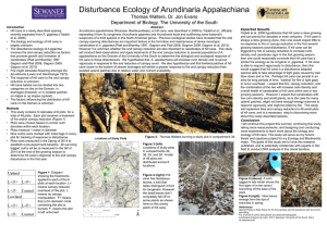 Disturbance Ecology of Arundinaria Appalachiana Thomas Walters, Dr. Jon Evans