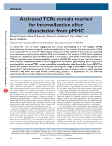 Activated TCRs  remain  marked for internalization after dissociation from pMHC A