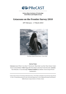 Cetaceans on the Frontier Survey 2010  18 February – 1