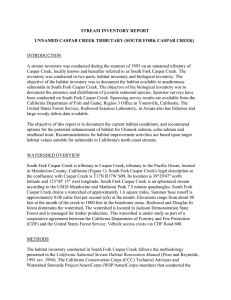 STREAM INVENTORY REPORT UNNAMED CASPAR CREEK TRIBUTARY (SOUTH FORK CASPAR CREEK)  INTRODUCTION