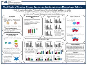 The Effects of Reactive Oxygen Species and Antioxidants on Macrophage... Emily B. Lurier , Robert Levy , Kenneth Barbee