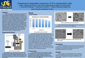 Temperature dependent responses of live mammalian cells