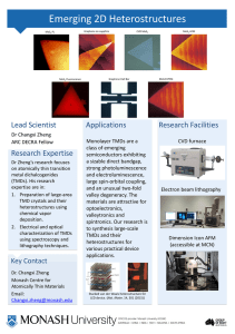 Emerging 2D Heterostructures Lead Scientist Applications Research Facilities