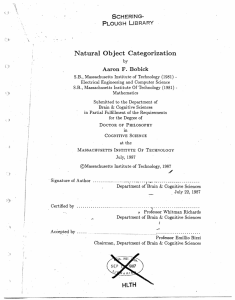 Natural Object  Categorization Aaron  F.  Bobick