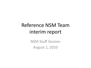 Reference NSM Team interim report NSM Stuff Session August 1, 2010