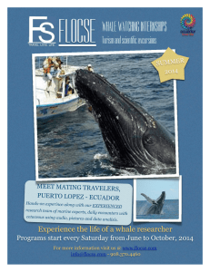 FLOCSE WHALE WATCHING INTERNSHIPS Turism and scientific excursions