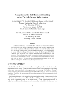 Analysis on the Self-Induced Sloshing using Particle Image Velocimetry