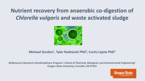Nutrient recovery from anaerobic co-digestion of Chlorella vulgaris Michael Gordon