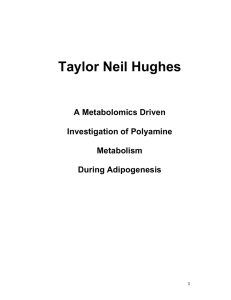 Taylor Neil Hughes A Metabolomics Driven Investigation of Polyamine