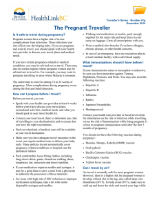 The Pregnant Traveller Is it safe to travel during pregnancy?
