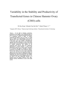 Variability in the Stability and Productivity of (CHO) cells