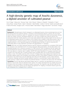 A high-density genetic map of Arachis duranensis, Open Access