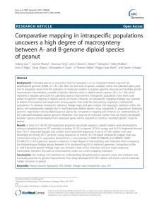 Comparative mapping in intraspecific populations uncovers a high degree of macrosynteny